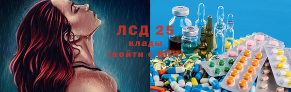 винт Лагань