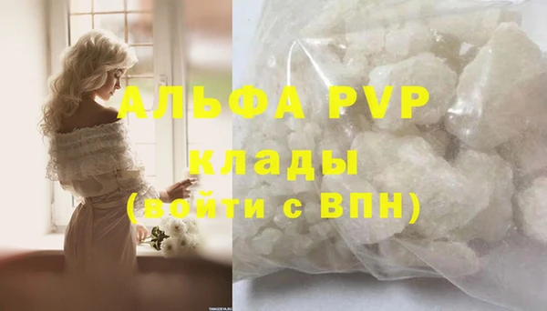 винт Лагань
