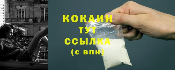 винт Лагань