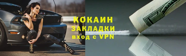 винт Лагань