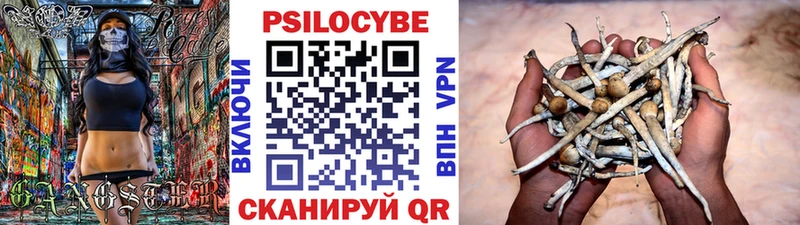 Псилоцибиновые грибы ЛСД  Купить закладки  Кольчугино 